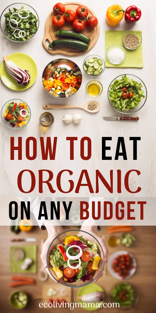 Budget-Friendly Organic Foods