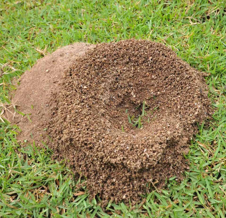 4 Ways to Use Homemade Orange Peel Vinegar Around the House Eco