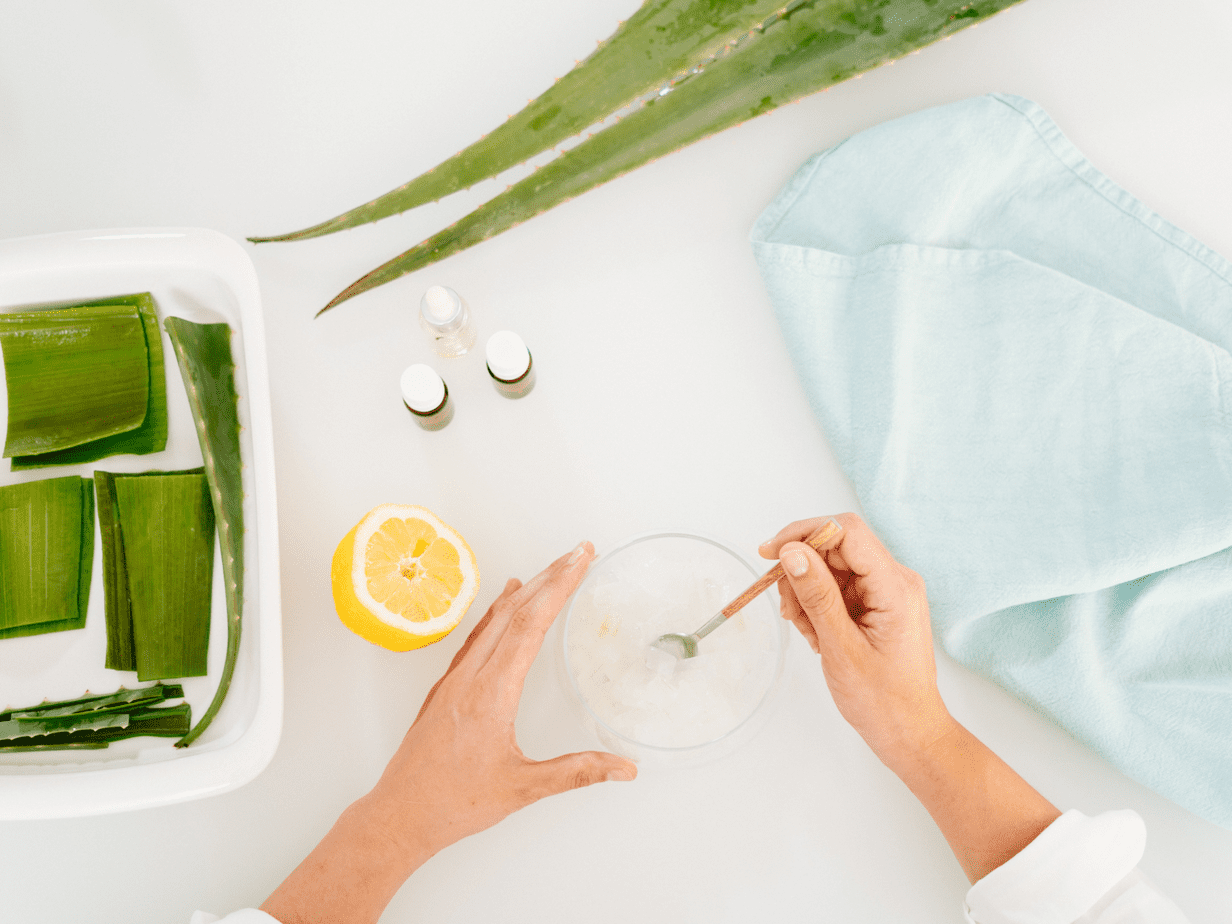 How to Use Aloe Vera for Amazing Skin and Hair Eco Living Mama